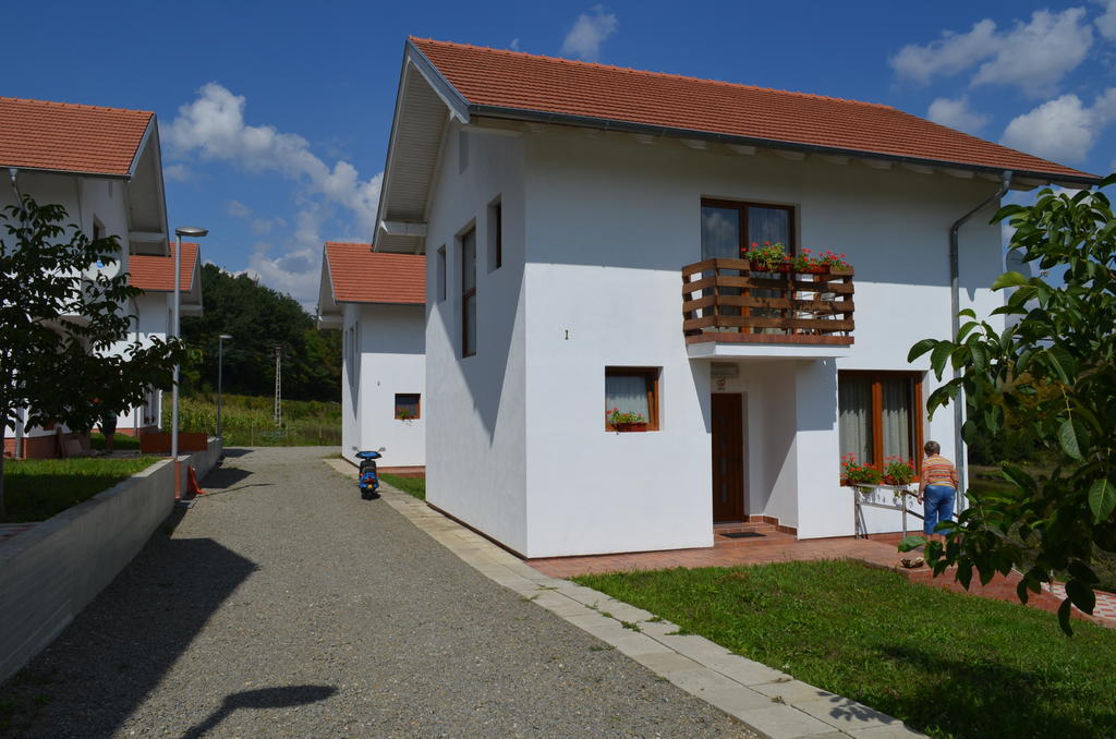 Pensiune Denisa Mediaş Extérieur photo