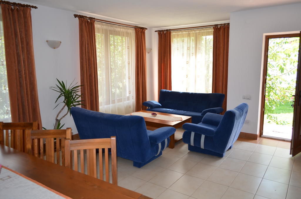 Pensiune Denisa Mediaş Extérieur photo