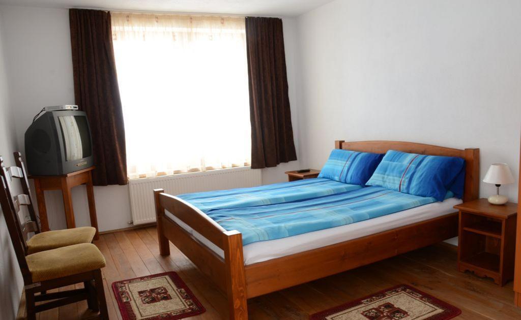 Pensiune Denisa Mediaş Extérieur photo