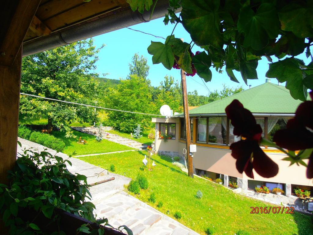 Pensiune Denisa Mediaş Extérieur photo