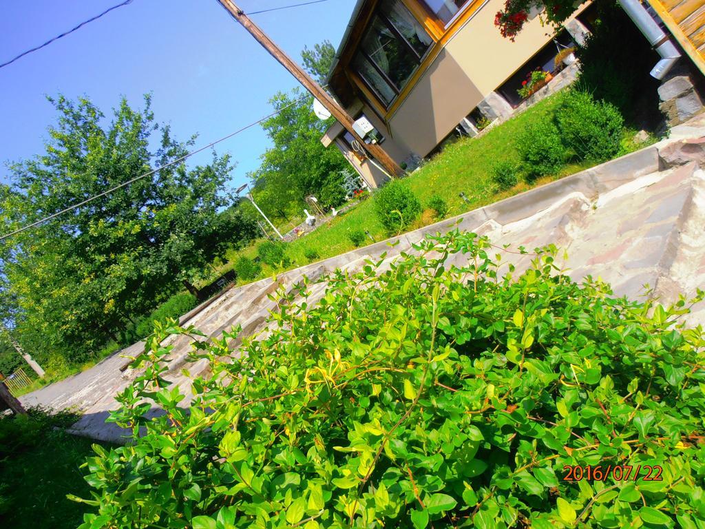 Pensiune Denisa Mediaş Extérieur photo