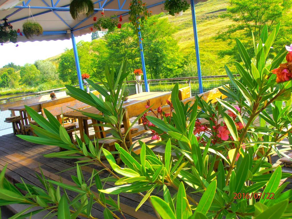 Pensiune Denisa Mediaş Extérieur photo