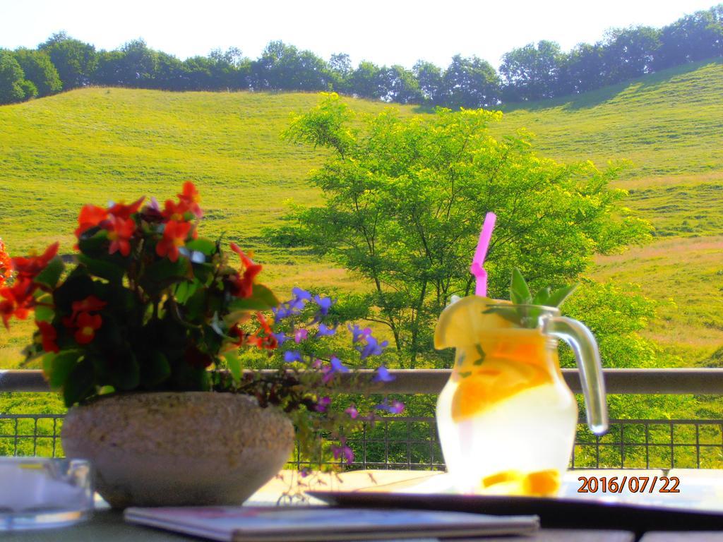 Pensiune Denisa Mediaş Extérieur photo