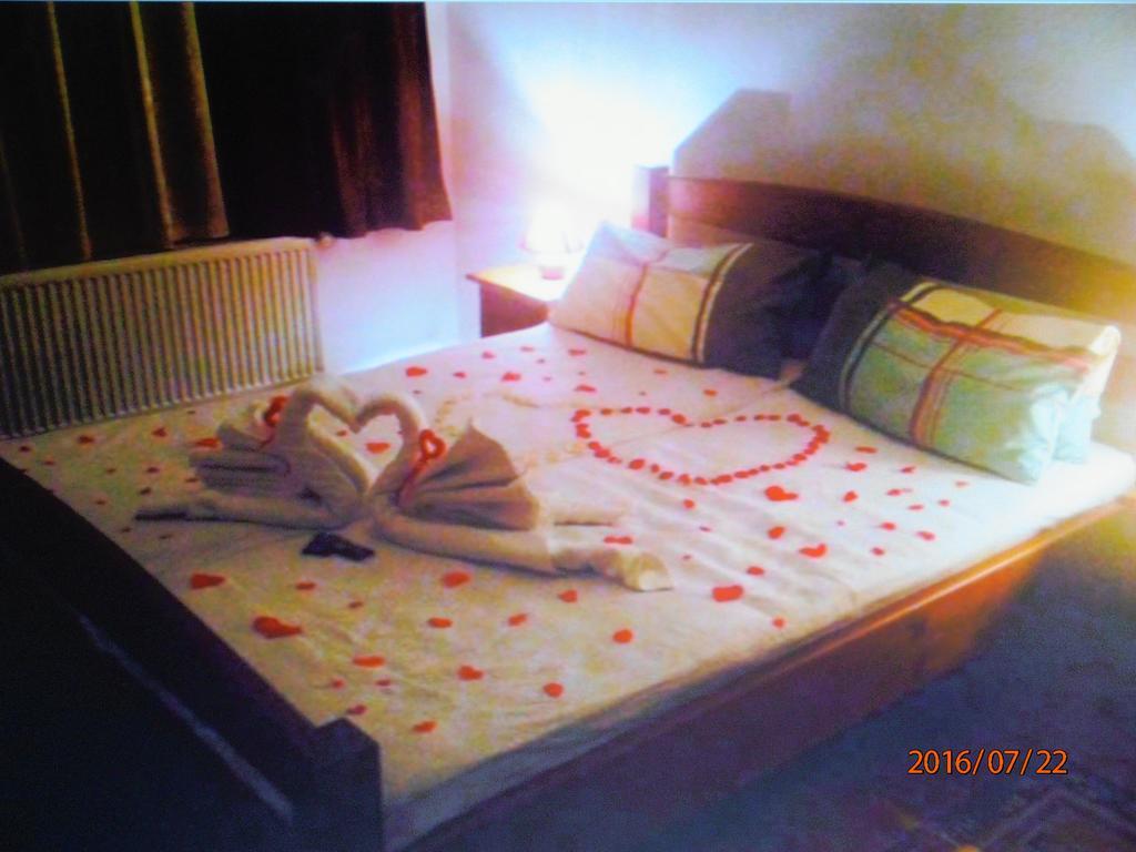 Pensiune Denisa Mediaş Extérieur photo