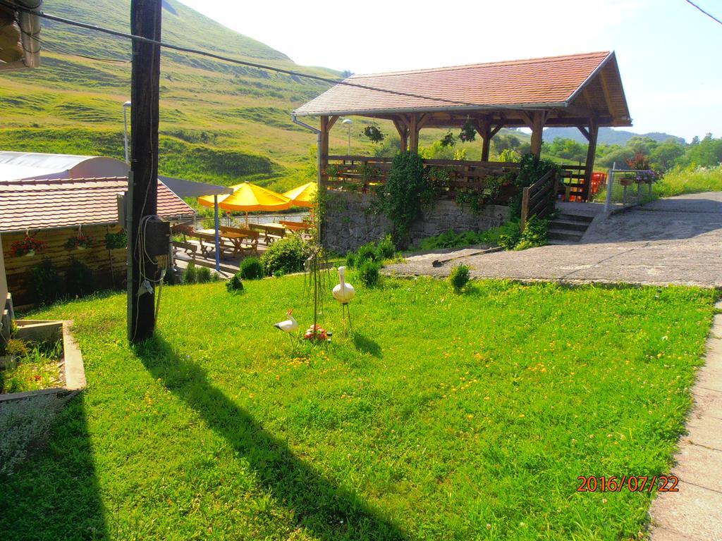 Pensiune Denisa Mediaş Extérieur photo